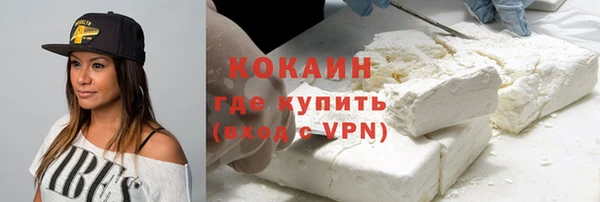 соль ск Арсеньев
