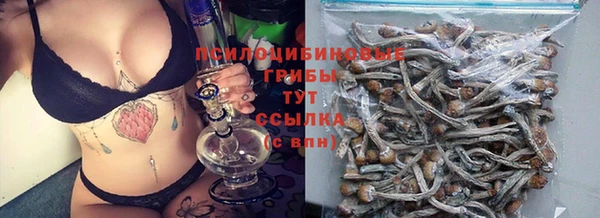 mdpv Аркадак